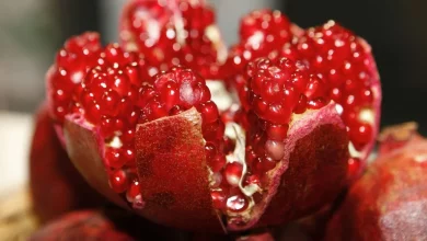 31057c3a49f880203e4a9c7b186ee21d