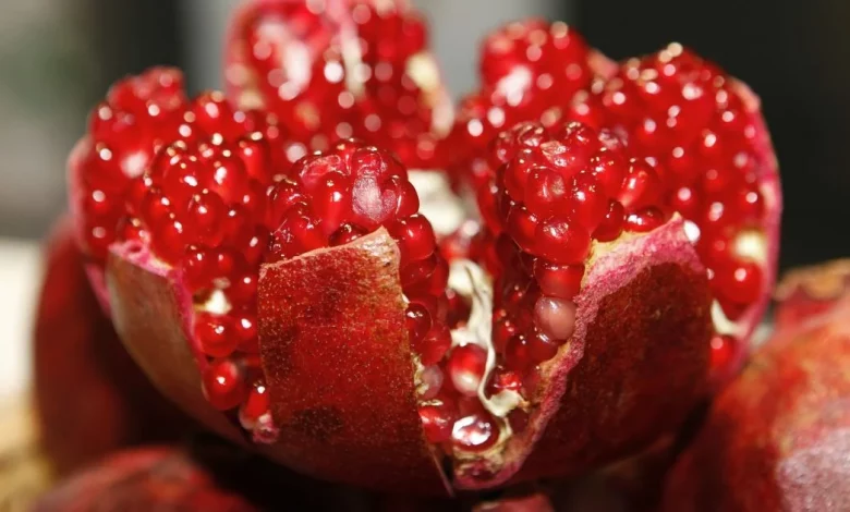 31057c3a49f880203e4a9c7b186ee21d