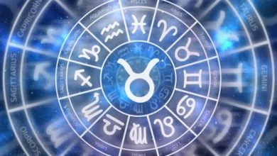 Istockphoto 1129557900 612x612 1