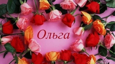 800 0 1532417674 8235