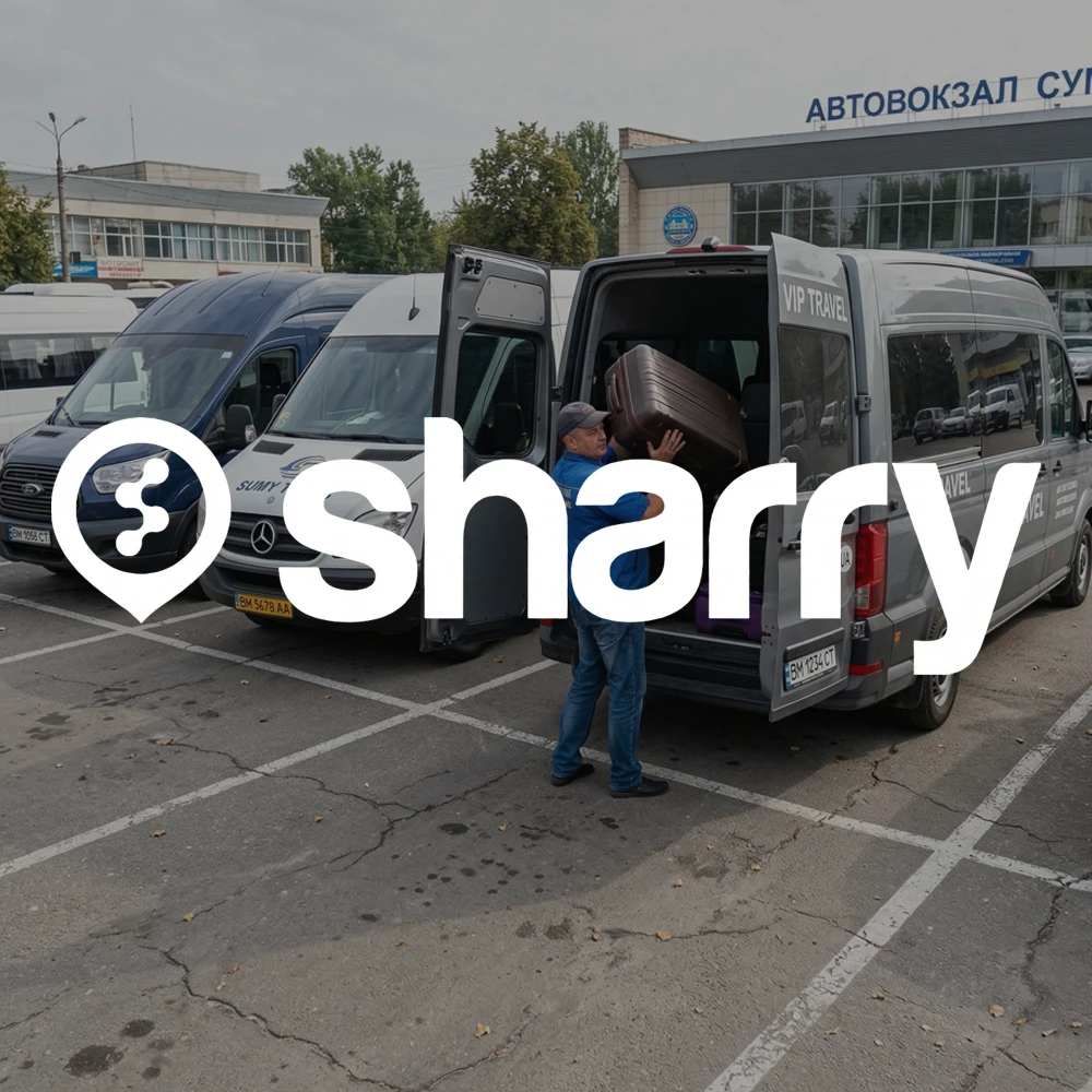 Sharry на фоні водія, який складає валізи в багажник мікроавтобусу