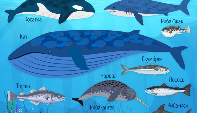 002itt B55e 779x446 1