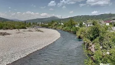 0d7724ca2148438699dae4bd40948d79