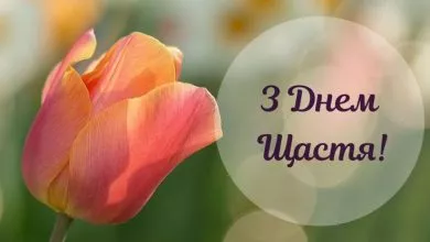 6977bb43a8e22b57e1c1d6786735f6f4