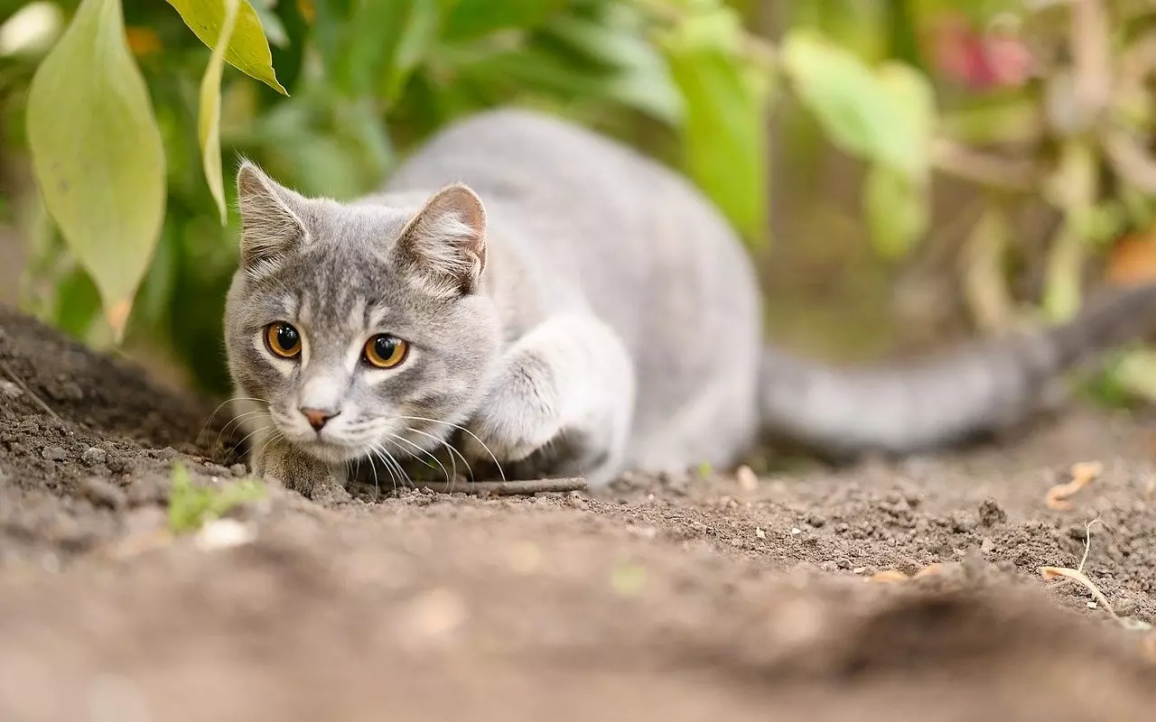 O 1f3gnh550167b13591jek1mr0195t5o