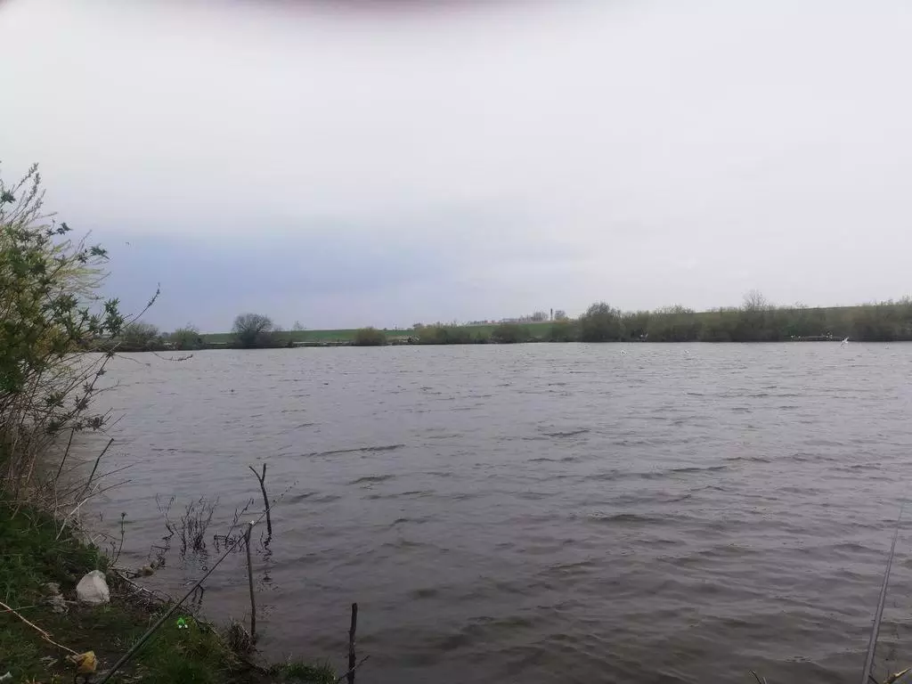 S320200425 1984 1196k7b20200425 1984 Iczjez20200425 1984 Zq3fy2