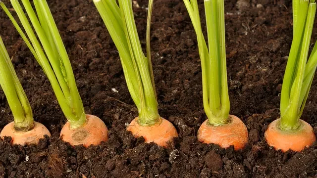 Yhddabreazeugvbw0qhd99vffaxurxozq8jxnwjk