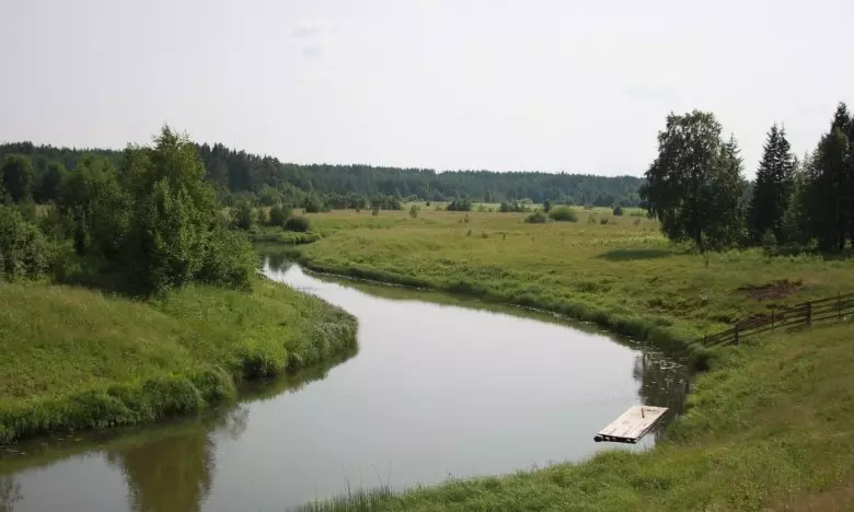 Pticnb C5x3x50px50p D1b5578b4e6523e99cc53c1485a8309c