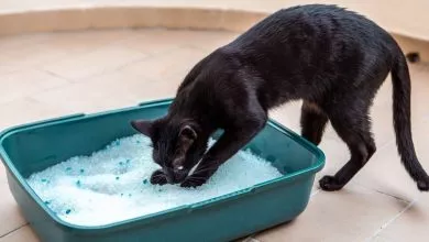 4db843596b640cce9a12221e9ce04b46