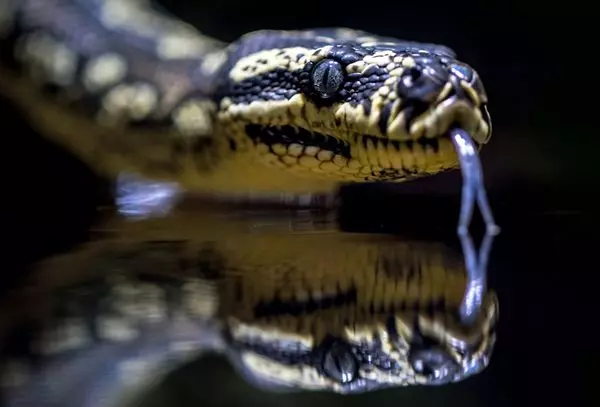 David Clode Lm28txo4hem Unsplash