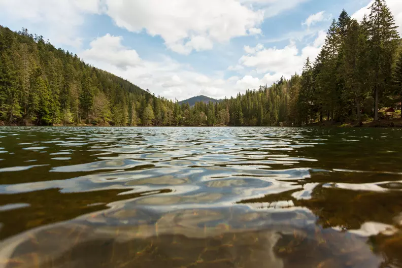 Naibilshi Ozera Svitu
