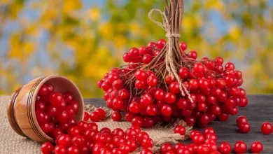 0100cqbp Aa75 1200x630 1