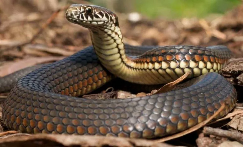 11 11 02 16 25 Large