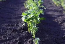 586a09bb604968a6841271d74c182d02