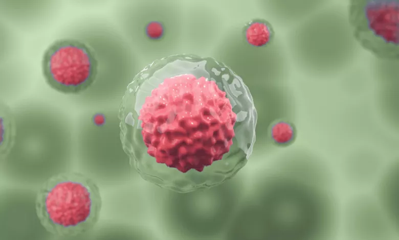 Sajt Hmil. Statti Nov 90