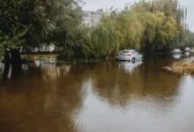Cars stranded on a flooded street surrounded by tall trees. Rainy season aftermath.