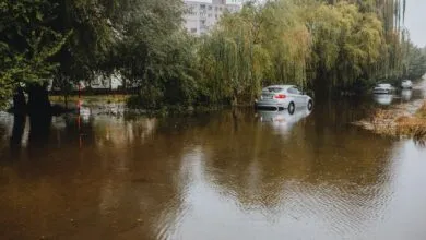 Cars stranded on a flooded street surrounded by tall trees. Rainy season aftermath.