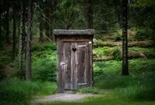 Charming wooden outhouse nestled in the tranquil Swedish forest.