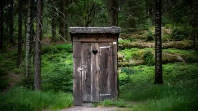 Charming wooden outhouse nestled in the tranquil Swedish forest.