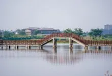 Calm lake scene featuring a wooden bridge with clear reflections in tranquil water.