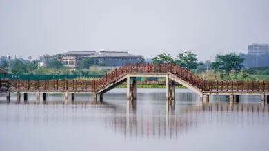 Calm lake scene featuring a wooden bridge with clear reflections in tranquil water.