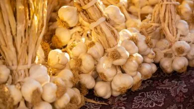 Close-up of bundled organic garlic displayed on decorative cloth with warm lighting.