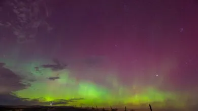 Experience the vibrant aurora borealis dancing across a starry night sky.
