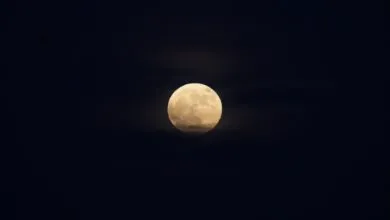 A luminous full moon surrounded by a dark, clear night sky, offering a serene celestial view.