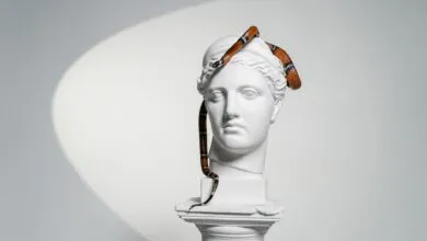 A white gypsum head sculpture with a snake elegantly draped over it, blending art and nature.