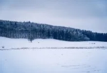 A tranquil snow-covered landscape in Lenningen, Germany featuring a snowy field and distant hikers.