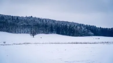 A tranquil snow-covered landscape in Lenningen, Germany featuring a snowy field and distant hikers.